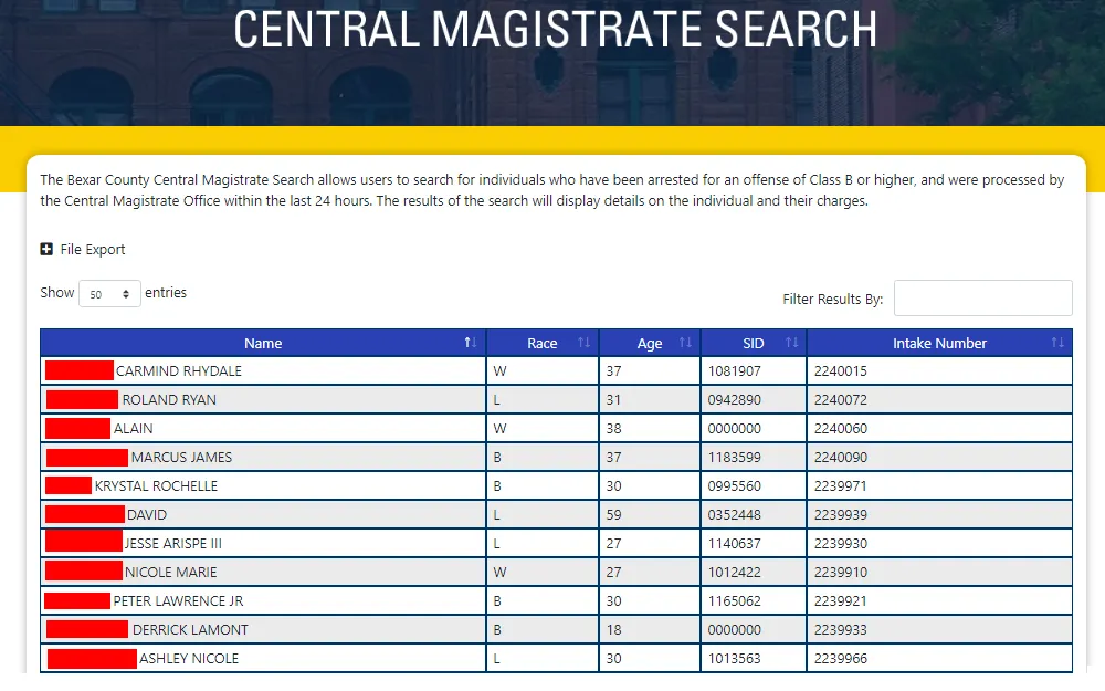 A screenshot of the Central Magistrate portal that is used to search for individuals arrested for an offense providing the offender's details such as their name, race, age, SID number, and intake number.