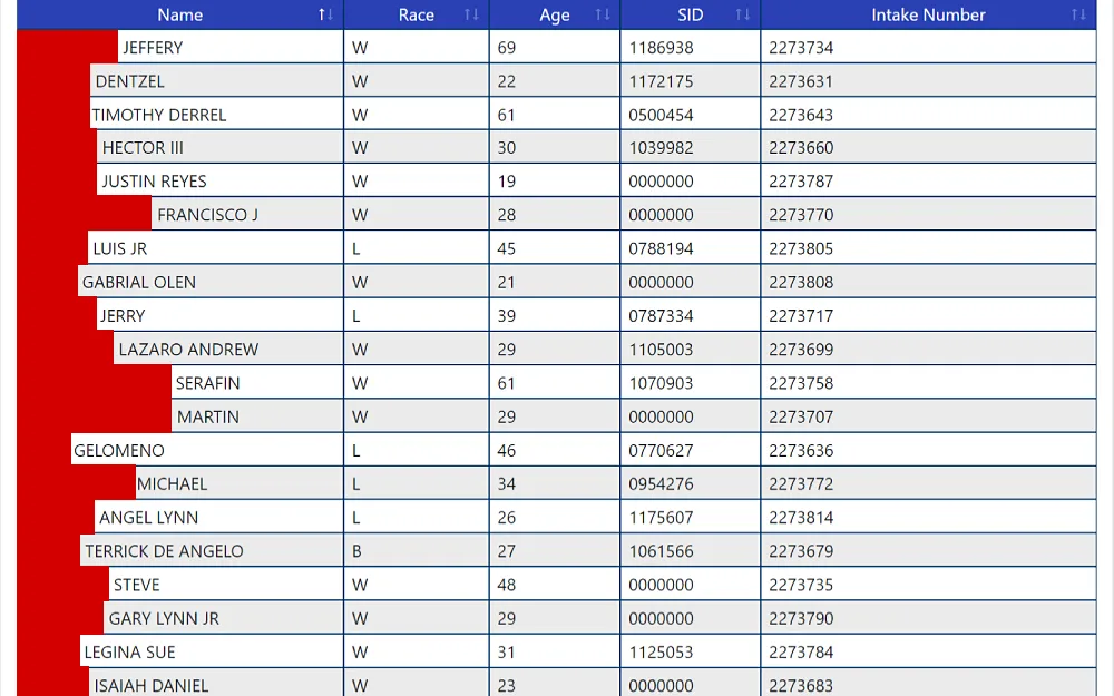 A screenshot displaying central magistrate search results, showing information such as full name, race, age, SID and intake number from the Bexar County Clerk & District Clerk website.