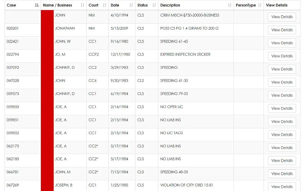 A screenshot displaying a case records search showing details such as case number, name or business name, court, date, status, description, person type and view details clickable option.